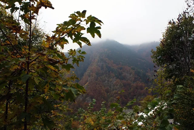 Misty rimella, valsesia, vercelli, italy