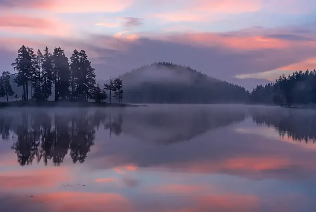 Misty shiroka polyana sunrise, rhodope mountains, bulgaria