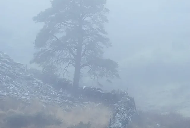 Misty Welsh Slate Wall, Rhyd Ddu, Gwynedd, Wales