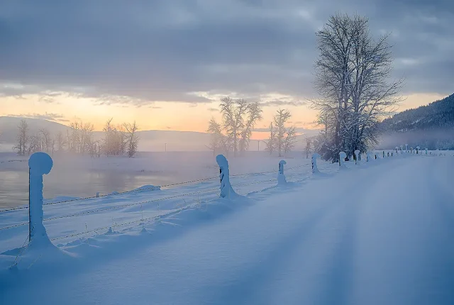 Misty winter journey, bonners ferry, idaho, usa