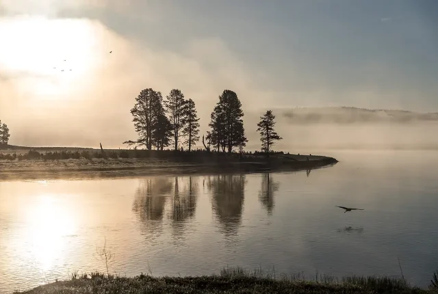 Misty yellowstone river, wyoming, usa