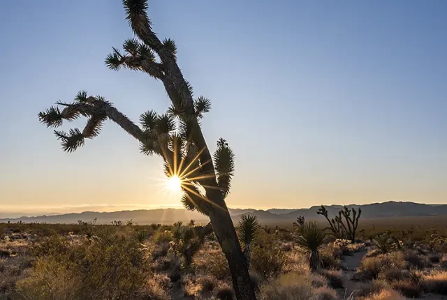 Mojave Desert Sunset Near Chase, California, USA