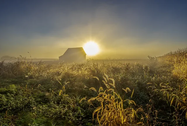 Morning fog, st hilarion, charlevoix, quebec, canada