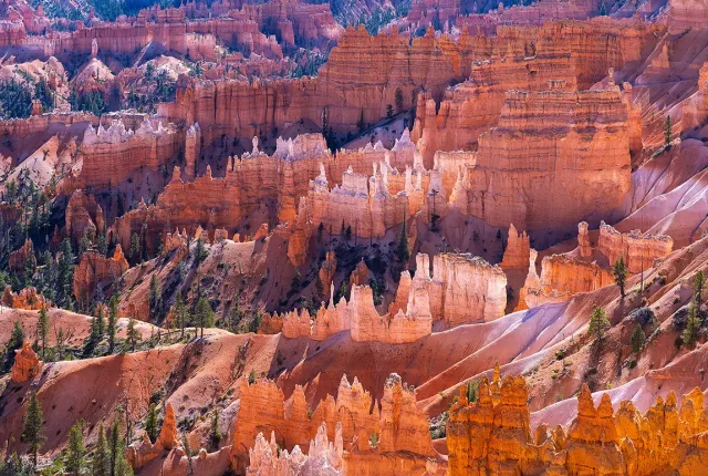 Morning light on the hoodoos, bryce canyon national park, utah, usa