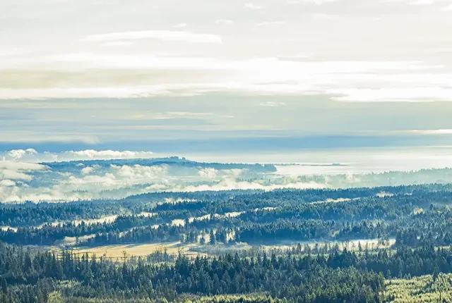 Morning Mist Over The Courtenay River Estuary, Vancouver Island, BC, Canada