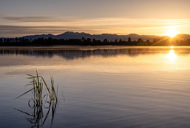 morning-reflection