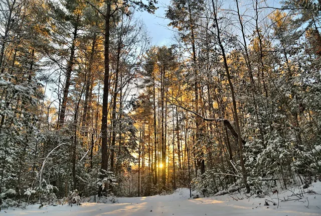 Morning Walk, Morganton, Burke County, NC, USA