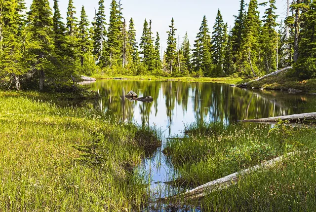 Mountain Alpine Ponds, Mt Washington, Courtenay, BC, Canada