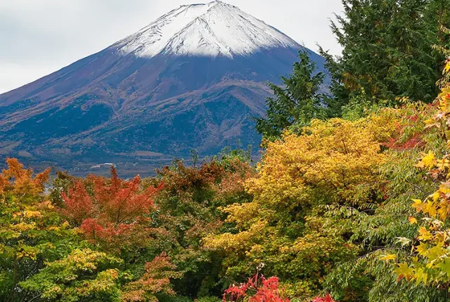 Mt Fuji, Lake Kawaguchi, Fujikawaguchiko, Japan