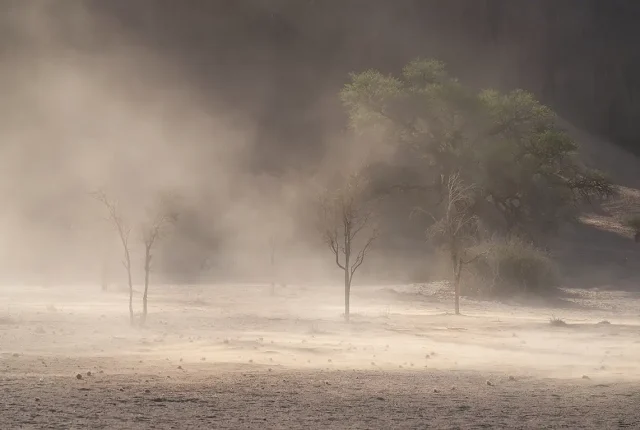 Namib Desert Dust, Hardap, Namibia
