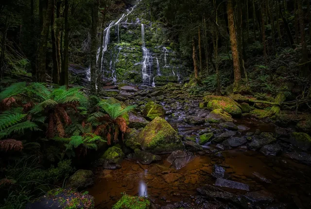 Nelson falls, franklin gordon wild rivers national park, tasmania