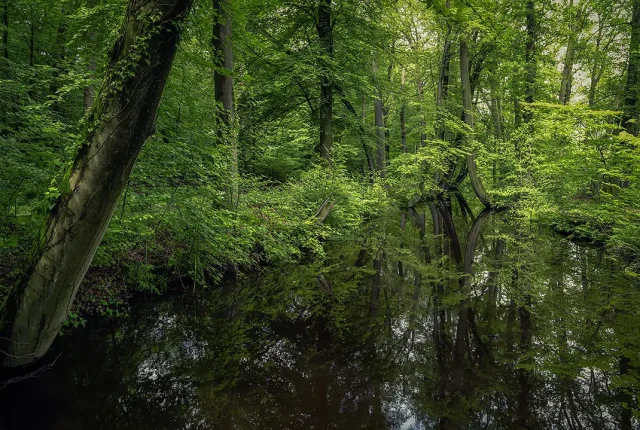 Oelerbeek, Twickel Estate, Twente, The Netherlands