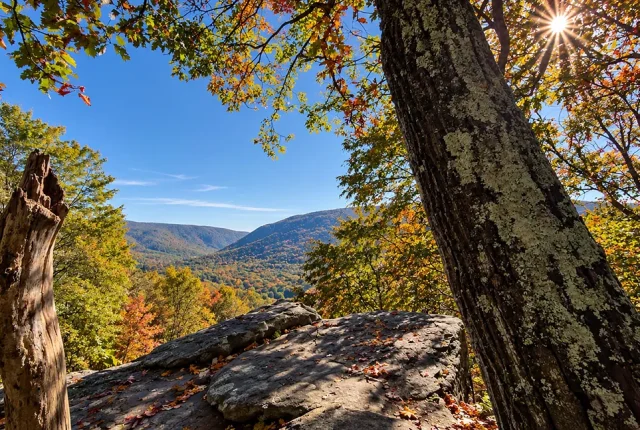 Ohiopyle State Park, Baughman Rock Overlook, Pennsylvania, USA