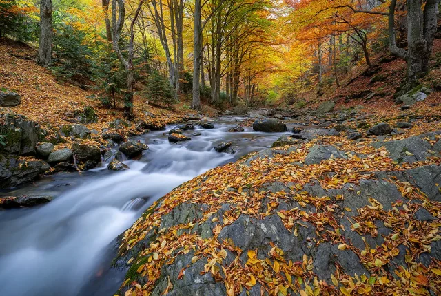 Old River Reserve, Karlovo, Bulgaria