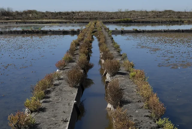 Old Salt Evaporation Ponds, Aveiro, Portugal