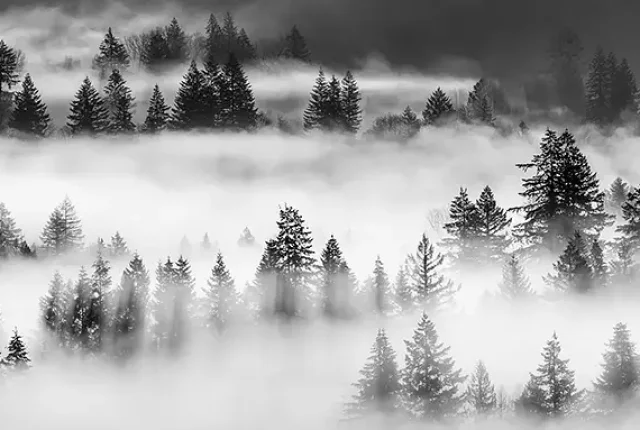 One Foggy Morning, Jonsrud Viewpoint, Sandy, Oregon, USA