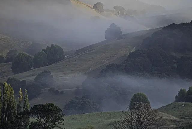 Ora station, akitio, new zealand
