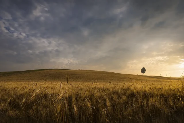 Orciano Pisano Hills Sunrise, Italy