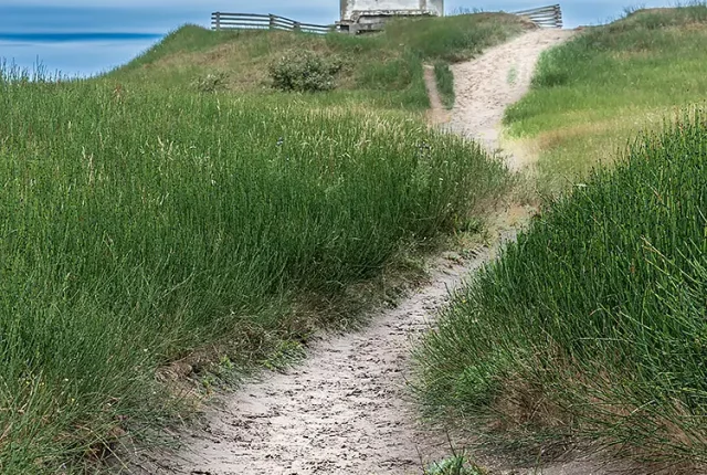 Pathway To Cattle Point Lighthouse, San Juan Island, Washington, USA