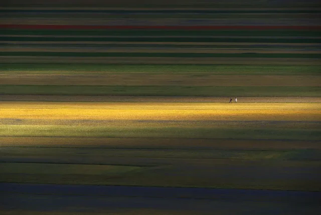Piana di castelluccio di norcia, italy