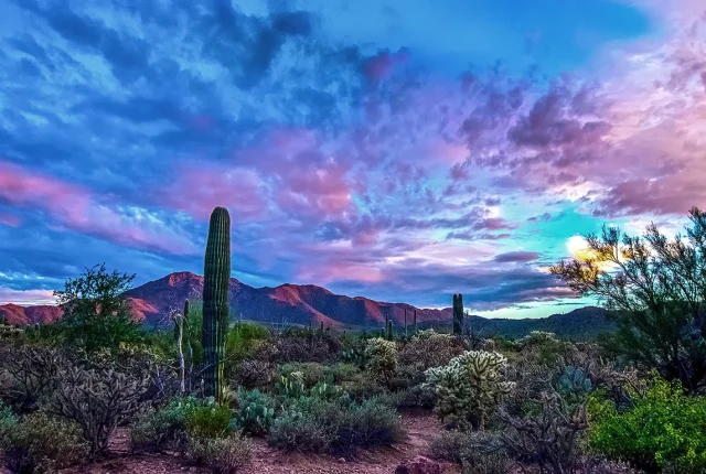 Picture Rocks National Park, Arizona, USA