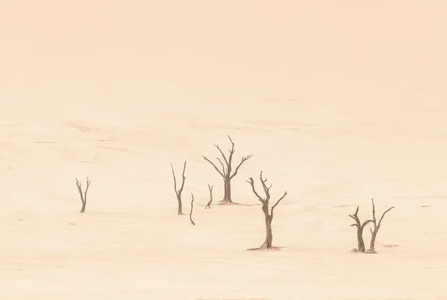 Preserved in isolation, namib naukluft national park, namibia