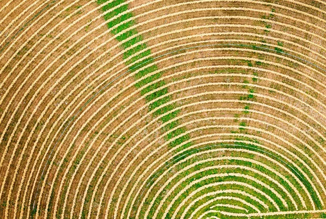 Rhythms Of The Cascades Harvest, Winthrop, WA, USA copy