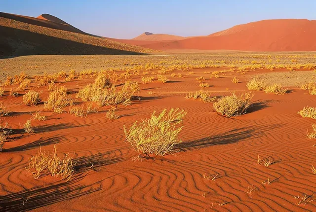 Ripples Of Windblown Sand, Sossusvlei, Namibia