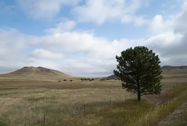 Road to red lodge, carbon county, montana, usa