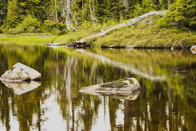 Rocks In A mountain Pond, Mt Washington, Courtenay, BC, Canada