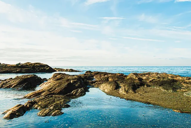 Ross Bay Beach, Victoria, British Columbia, Canada