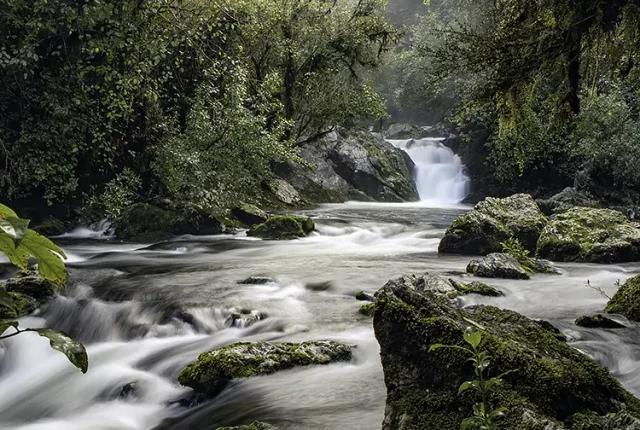 Ruiwaka resurgence, nelson, tasman, new zealand