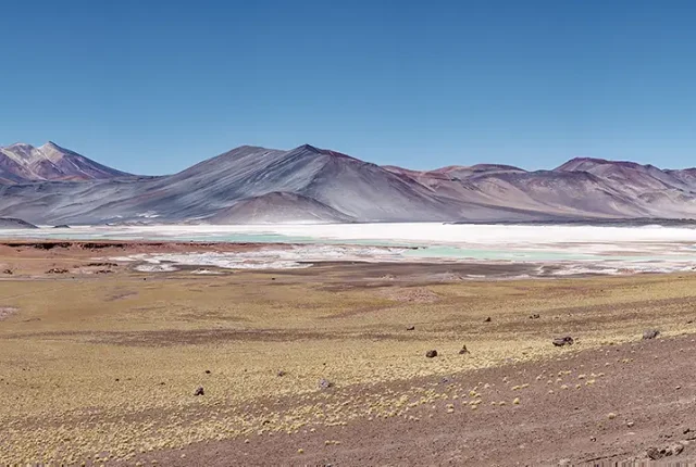Salar De Talar, San Pedro De Atacama, Chile