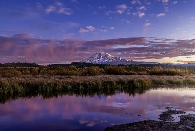 Sapphire And Stars, Trout Lake, Washington, USA