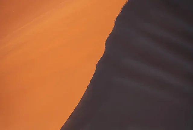 Scale And Loneliness, Dune 45, Namibia