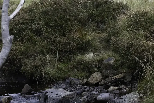 Scotlandtrip2025 16 scaled