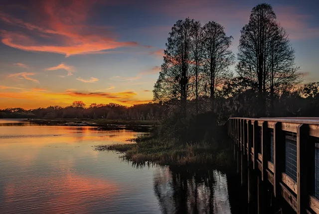 Serenity, Edouard Medard Conservation Park, Florida, USA