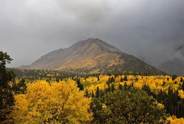 Shrouded in clouds, alpine loop, utah county, utah, usa