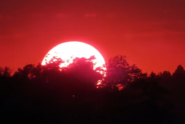 Smoky September Sunset, Serpentine Fen, Surrey, BC, Canada
