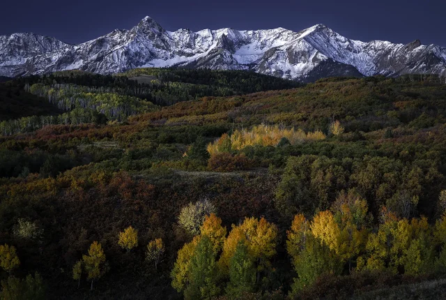 Sneffels Fall Color, Dallas Divide, Ridgway, Colorado, USA