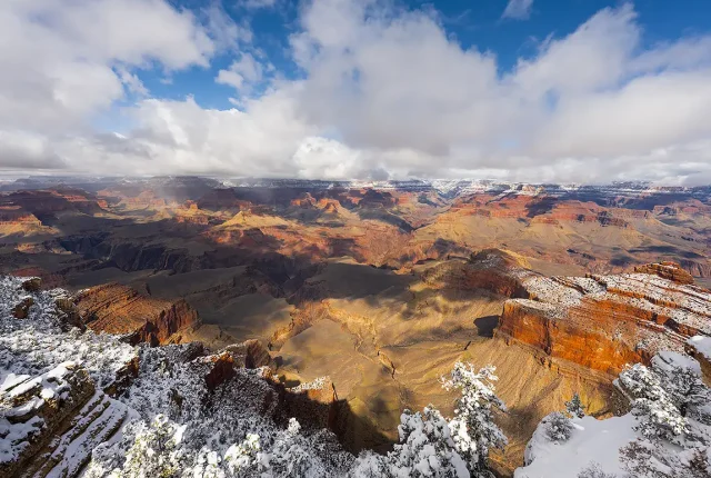 Snow Day At Grand Canyon National Park, Arizona, USA