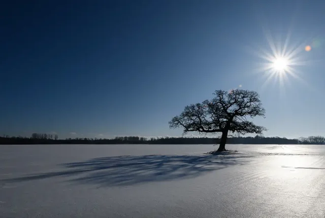 Snow Desert Between Seasons, Hadsund, Mariagerfjord, Denmark