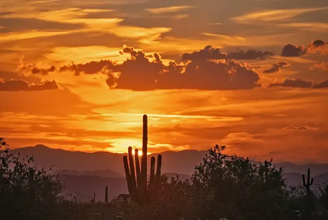 Sonoran Sunset, Scottsdale, Maricopa County, Arizona, USA