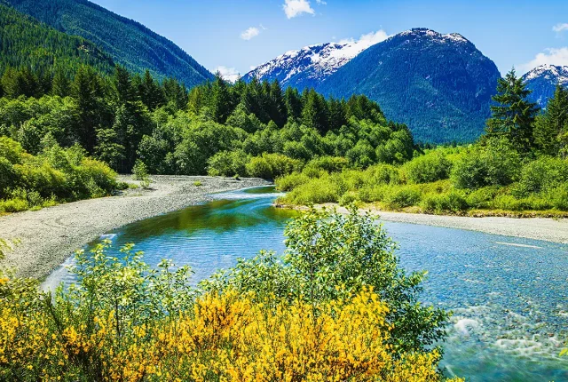 Spring Time At Thelwood Creek, Strathcona Park, Campbell River, Vancouver Island, Canada