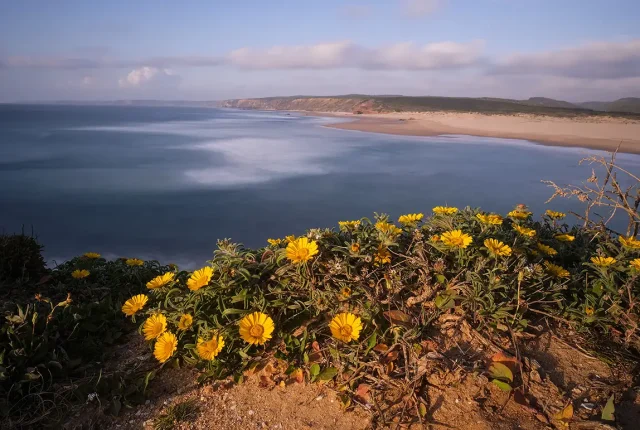 Springtime, Carrapateira, Portugal
