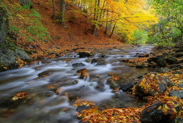Stara Reka Reserve, Karlovo, Bulgaria