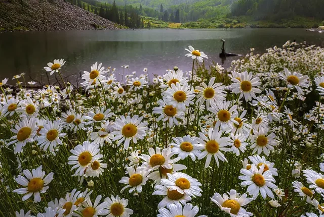 Stormy maroon bells, snowmass village, colorado, usa