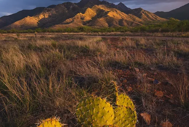 Stormy Sunset, Madera Canyon, Arizona, USA