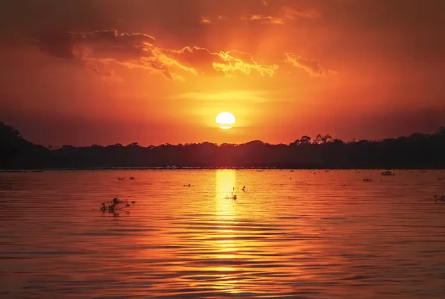 Sun Setting Over Cuiaba River, Pantanal, Mato Grosso, Brazil