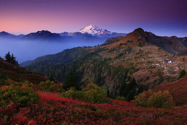 Sunrise fall color and mt baker, washington, usa